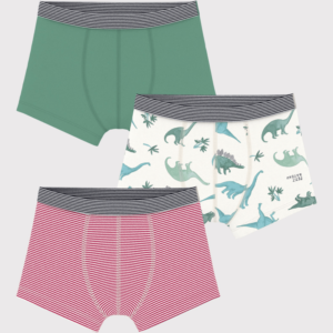 Petit Bateau 3 Pack Solid Stripe and Dinosaur Boxers