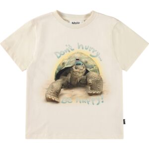 Molo Rame Don't Hurry Organic Cotton Knit T-Shirt